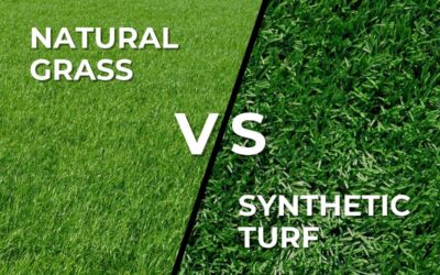 Natural Grass vs. Synthetic Turf